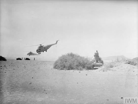 Whirlwind (front) and Wessex helicopters coming in to support land operations of 3rd Commando Brigade, Royal Marines, in the desert exercise.